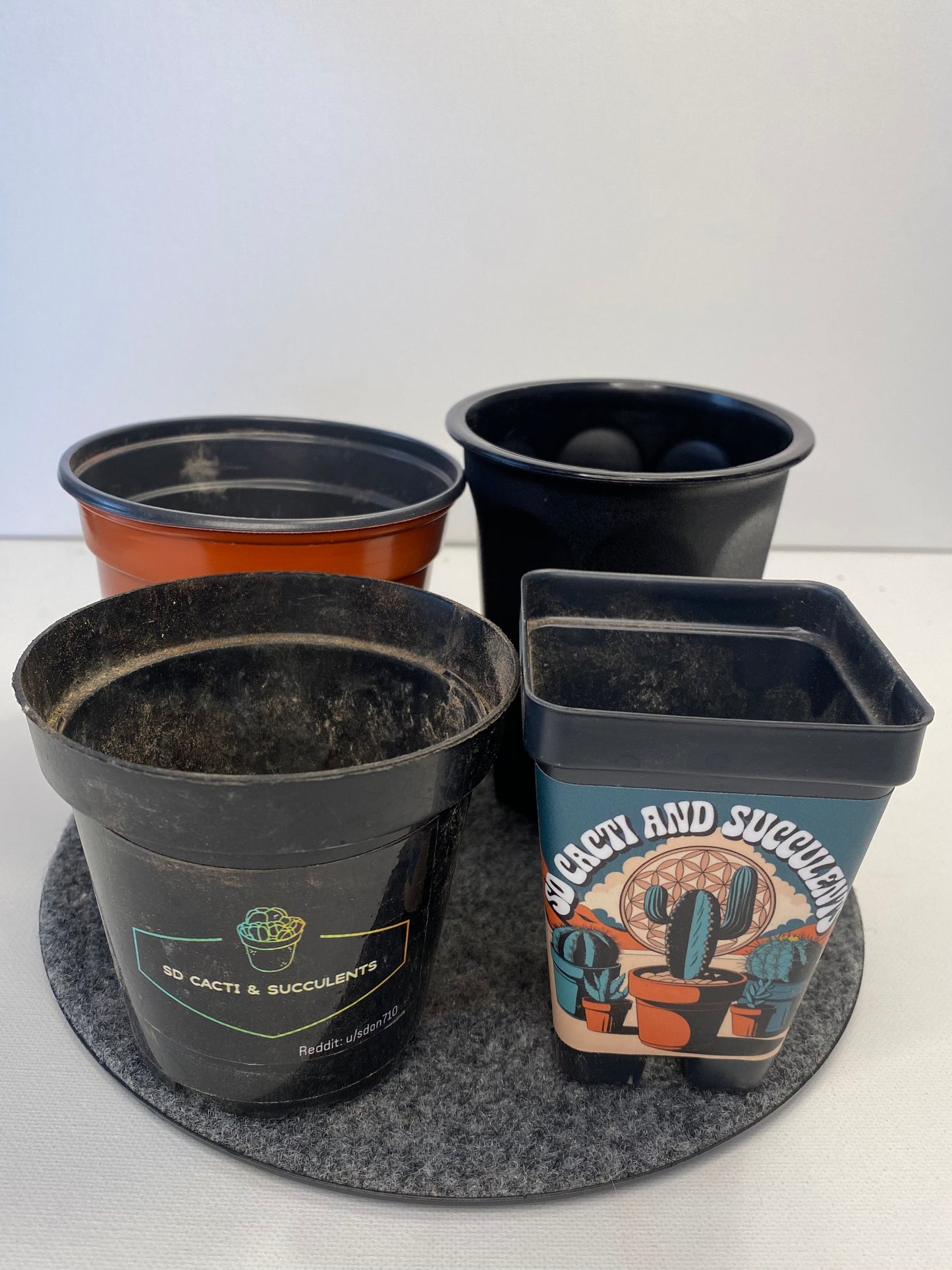 Potted shipping small.