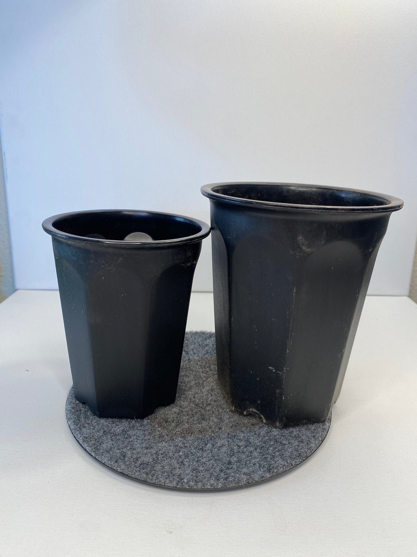 Potted shipping large.